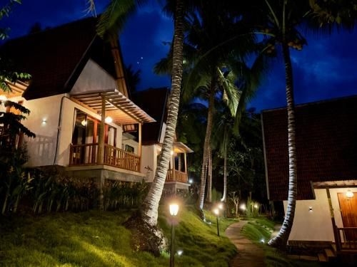 Green Coco Suite0