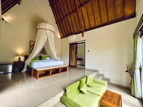 Green Coco Suite3