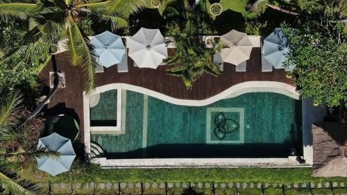 Coco verde bali4