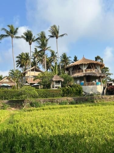 Coco verde bali2