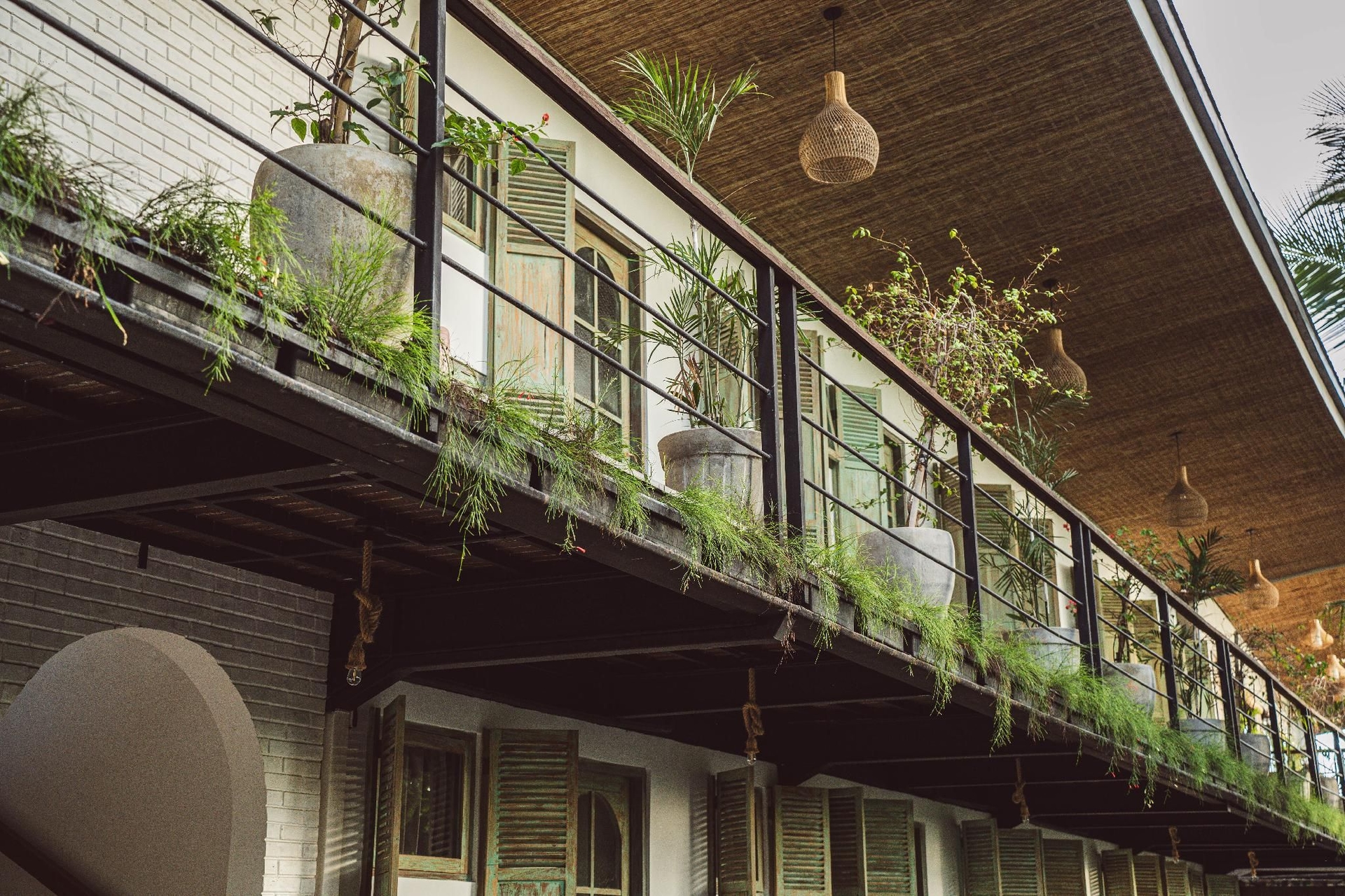 White Penny Hostel0