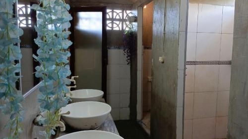 Local Hostel Amed4