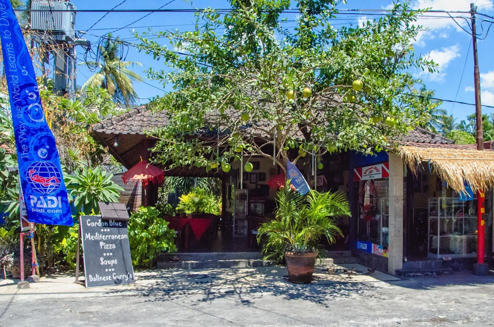 Dhitabila Bungalow Dive3