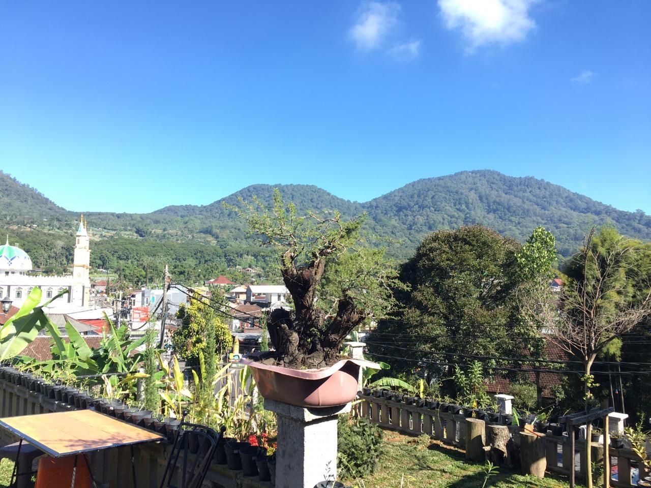 Ayudia Camp Bali4