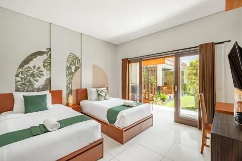 Cove Arganta4