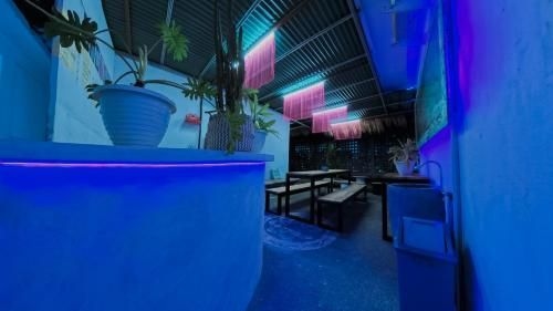 My Capsule Canggu2