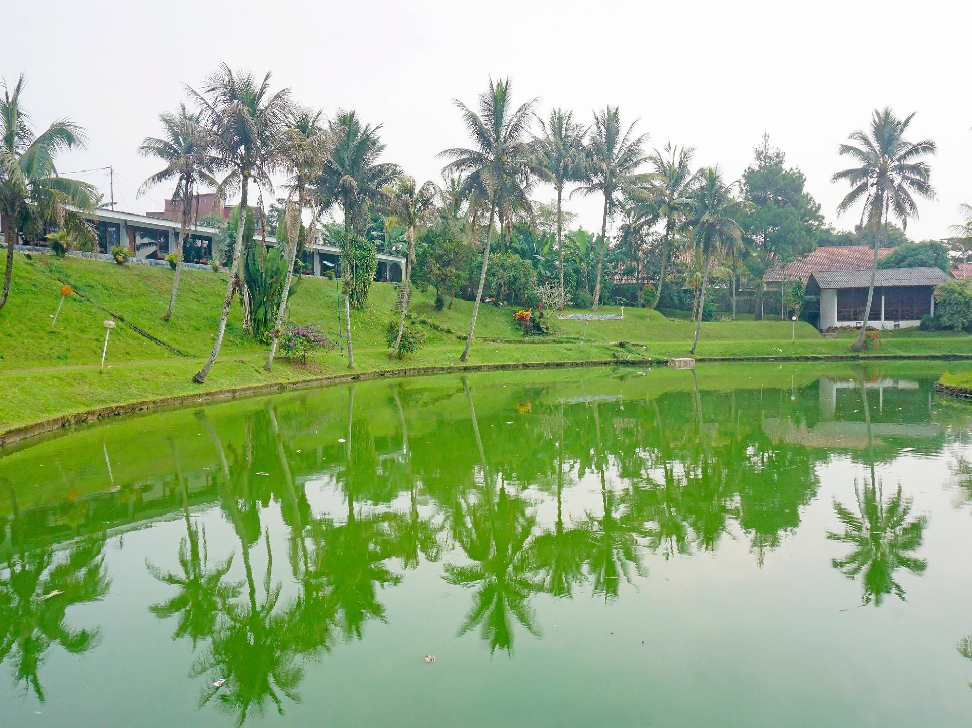 OYO 91244 Hotel Lembah Nyiur1
