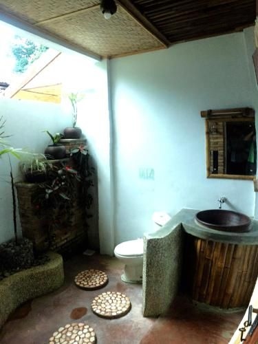 อีโคลอดจ์ บูกิต ลาวัง (Ecolodge Bukit Lawang)4