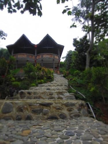Hotel Orangutan1