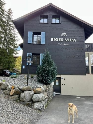 ไอเกอร์ วิว อัลไพน์ ลอดจ์ (Eiger View Alpine Lodge)1