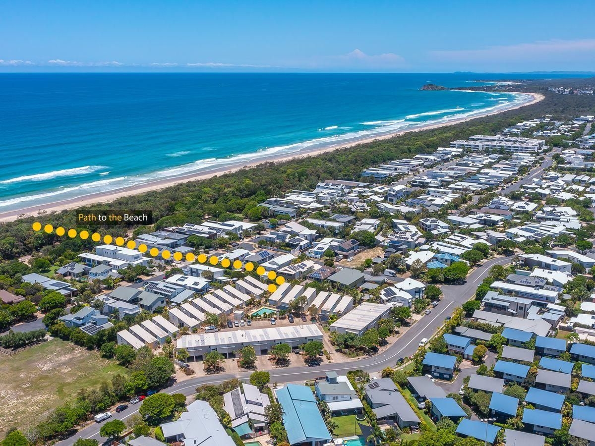 Pandanus Pocket - 131