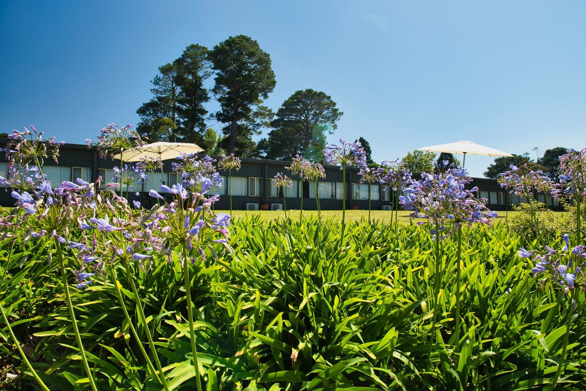 เอคโค พอยท์ ดิสคัฟเวอรี่ โมเทล (Echo Point Discovery Motel)0