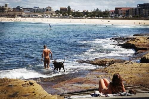 Bondi Breeze Apartment3