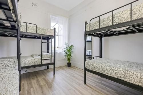 แพด โฮสเทล (Pad Hostel)2