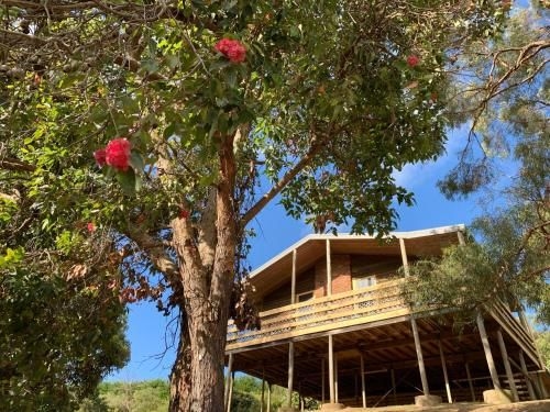 Iluka Retreat Glamping Village1