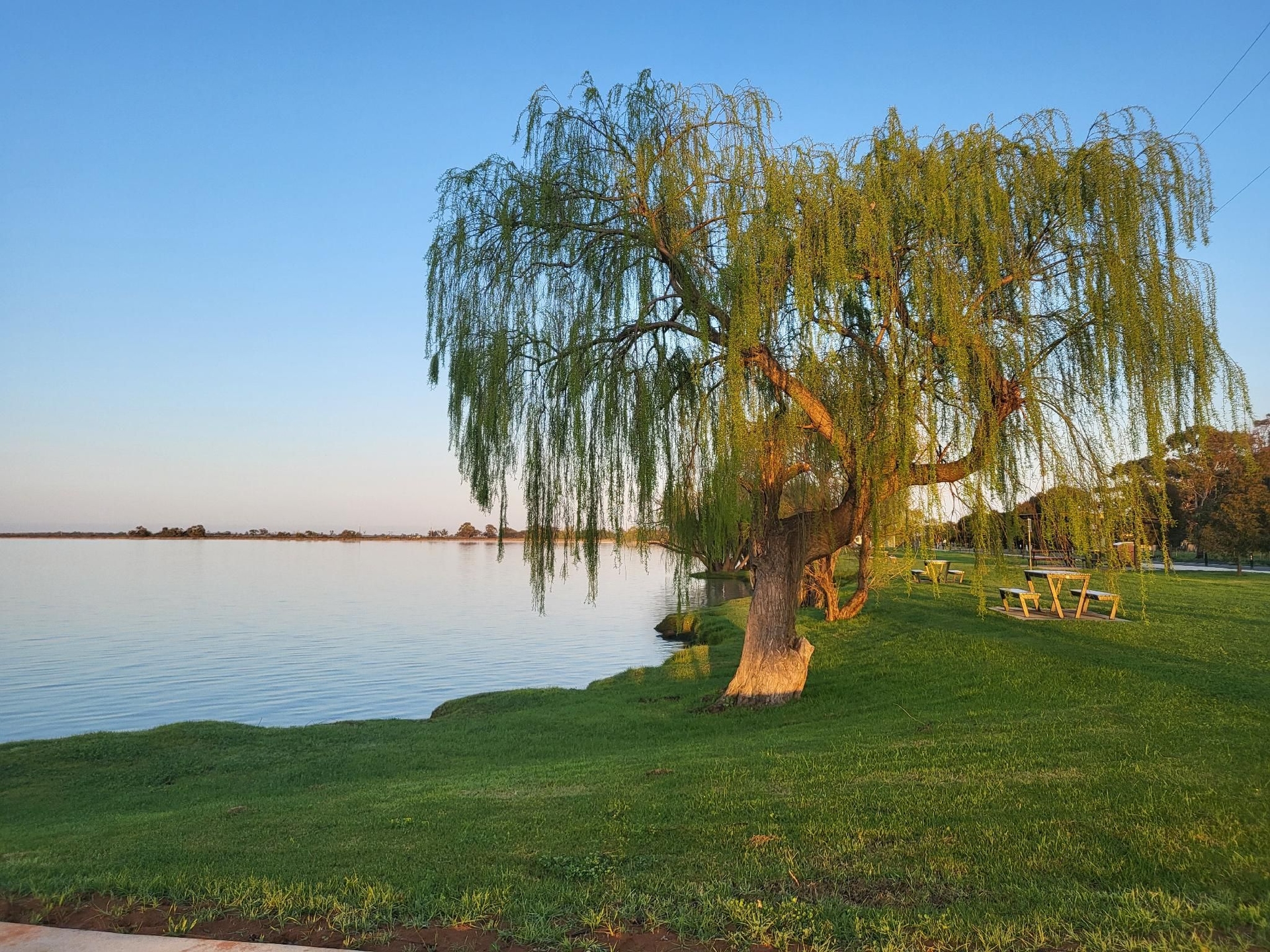 Kangaroo Lake C & C Mystic Park4