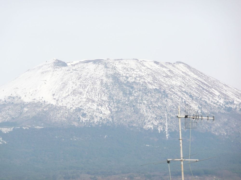 I Papiri1