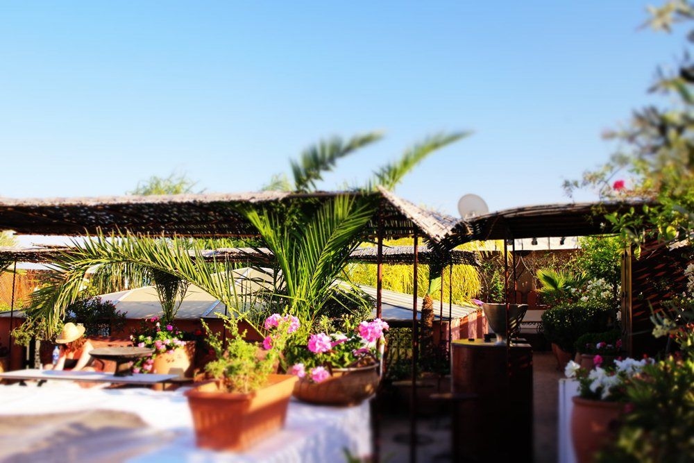 Riad Ayadina3
