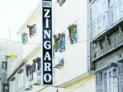 Zingaro1
