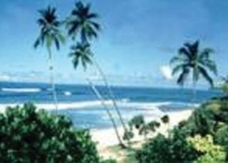 Palm Beach4