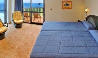Kaktus Albir3