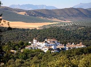 Barcelo La Bobadilla2