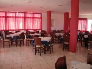 Summer Dream Hotel1
