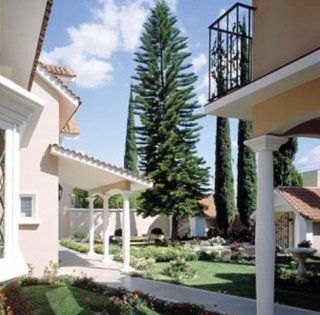 Casa Bonita3