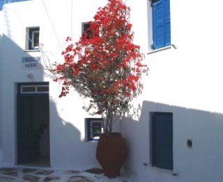 Alekos Pensions2