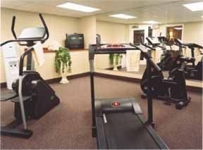 คอมฟอร์ต อินน์ เวสต์ คานาตา (Comfort Inn West-Kanata)3