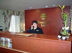 Comfort Inn London4