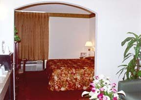 Comfort Inn & Suites1