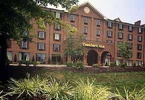 Comfort Inn East0