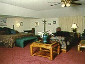 Comfort Inn (Summeville)1