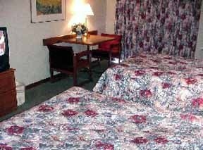 Comfort Inn Midtown-Kingston1