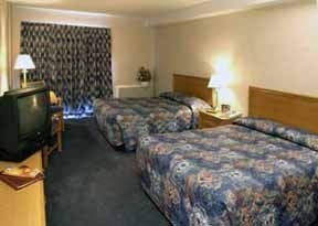 คอมฟอร์ต อินน์ (Comfort Inn Sydney)3