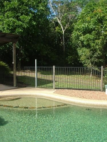 Atherton Blue Gum2