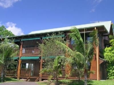 Atherton Blue Gum0