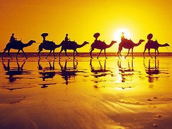 Mercure Broome4