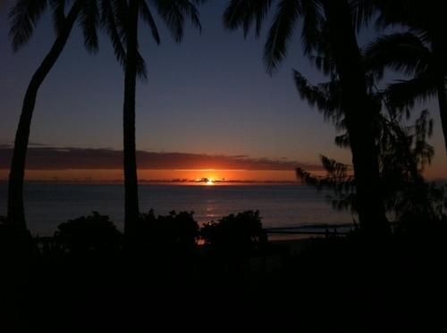Ellis Beach Oceanfront Bungalows4