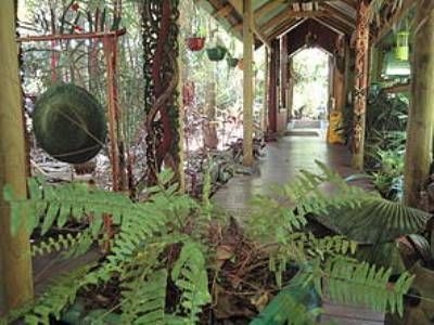 Daintree Rainforest Retreat0
