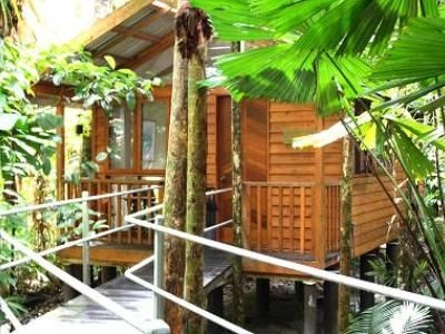 เดนทรีไวลด์เดอร์เนสลอดจ์ (Daintree Wilderness Lodge)1