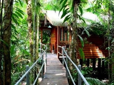 เดนทรีไวลด์เดอร์เนสลอดจ์ (Daintree Wilderness Lodge)0
