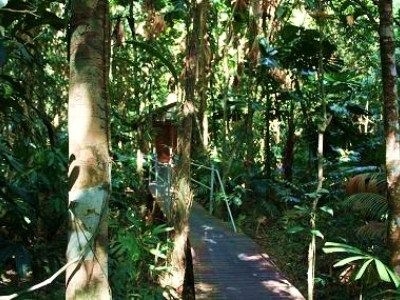 เดนทรีไวลด์เดอร์เนสลอดจ์ (Daintree Wilderness Lodge)2
