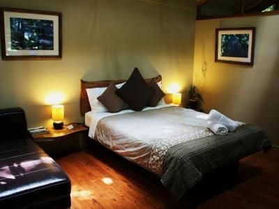 เดนทรีไวลด์เดอร์เนสลอดจ์ (Daintree Wilderness Lodge)3