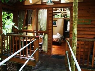 เดนทรีไวลด์เดอร์เนสลอดจ์ (Daintree Wilderness Lodge)4
