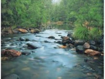 Carnarvon Gorge Wilderness Lodge2