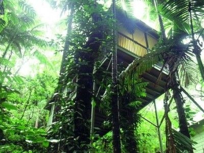 Daintree Ecolodge1