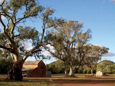 Wilpena Pound Resort1