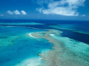 Hamilton Island Beach Club4